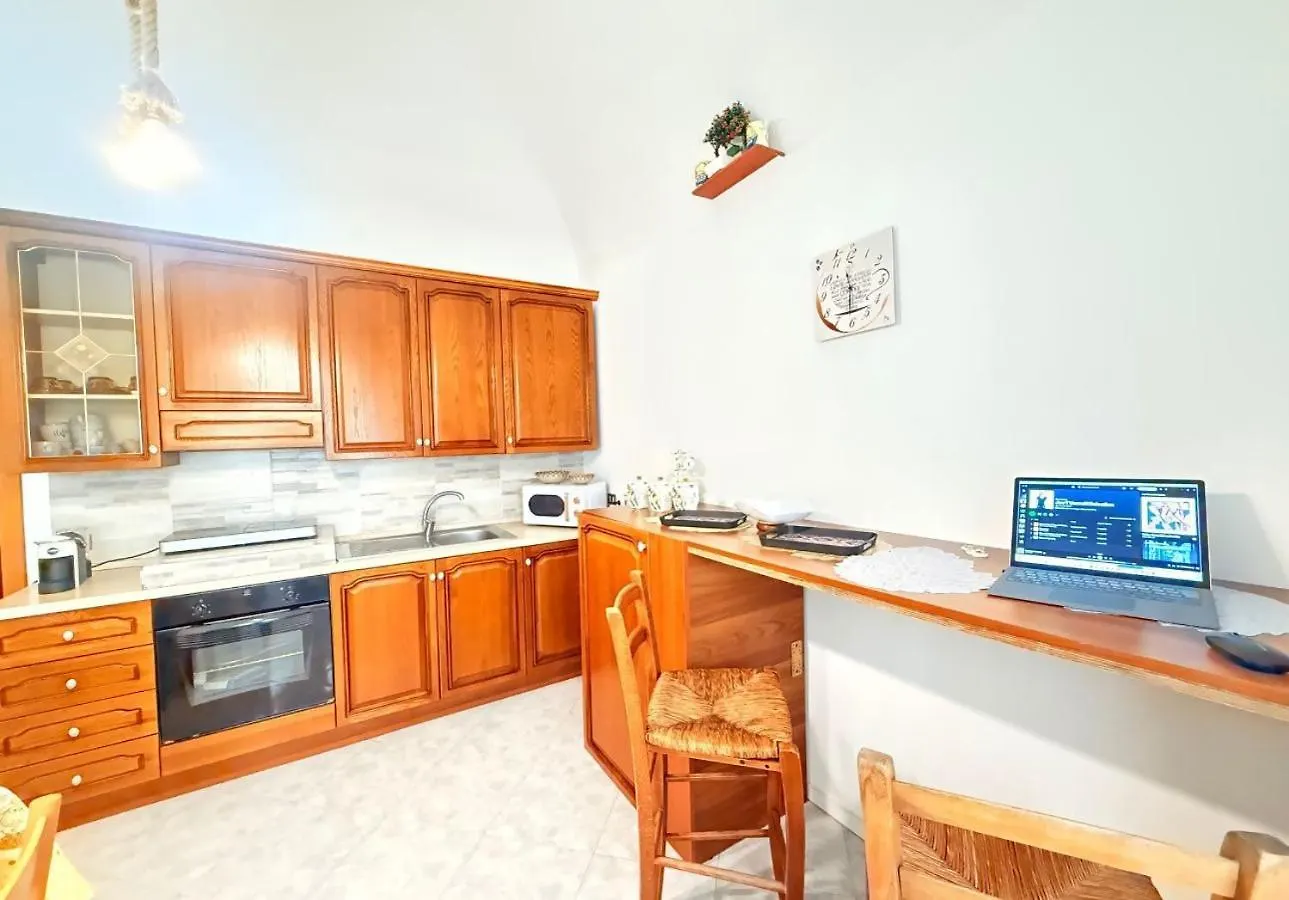 Daire Trapani Paw Paradise Beach