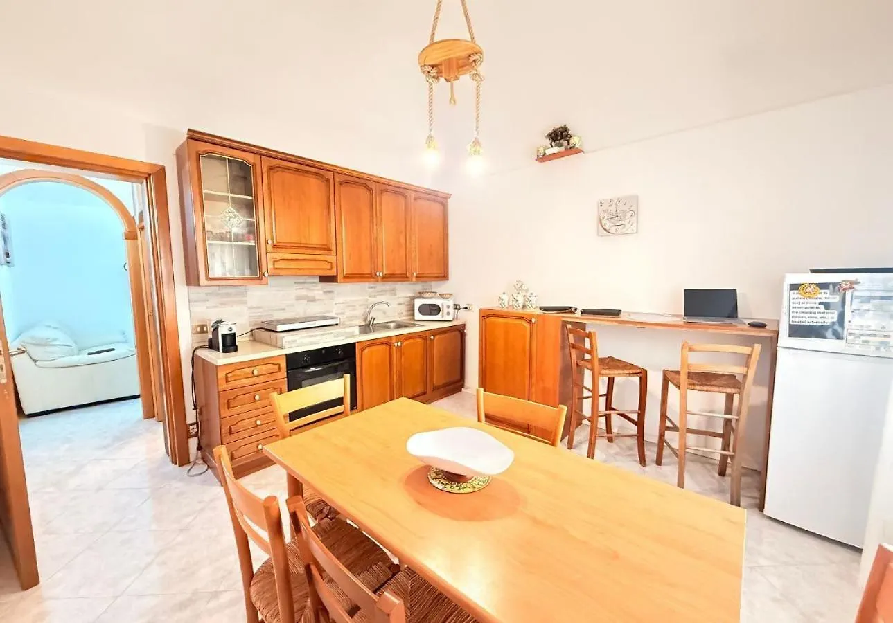 Daire Trapani Paw Paradise Beach