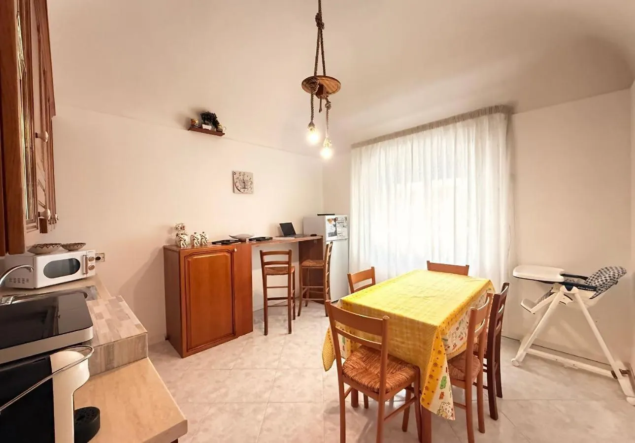 Daire Trapani Paw Paradise Beach